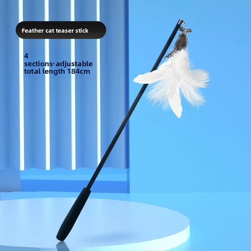 Extendable Feather Wand