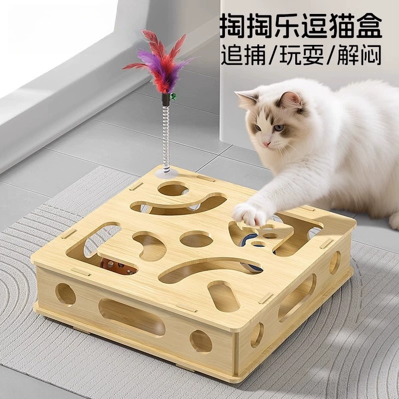 Cat Maze Puzzle Box with Teaser Wand and Bell